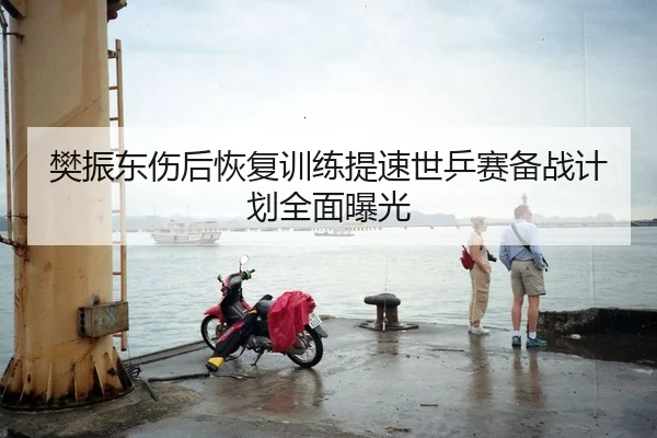 樊振东伤后恢复训练提速世乒赛备战计划全面曝光